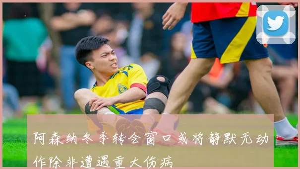 阿森纳冬季转会窗口或将静默无动作除非遭遇重大伤病
